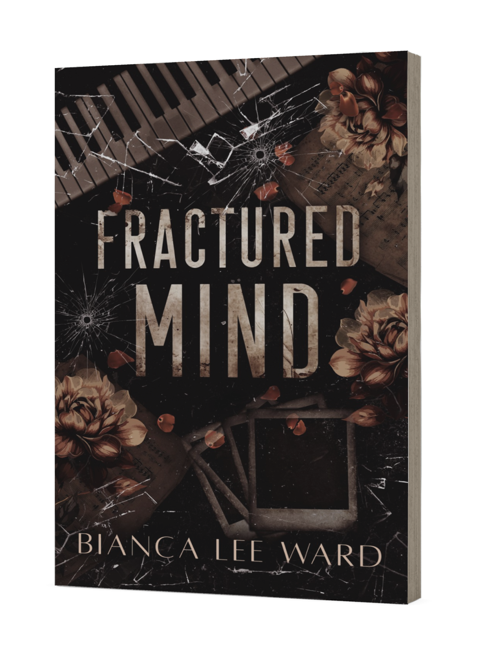 Fractured Mind (paperback)